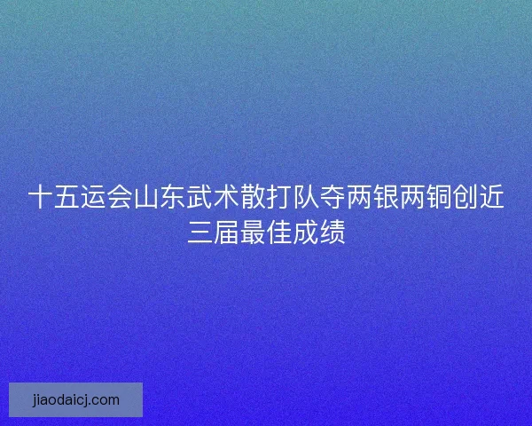 十五运会山东武术散打队夺两银两铜创近三届最佳成绩